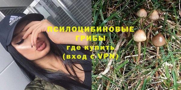 apvp Балахна